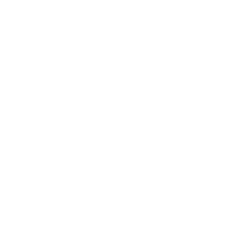 ZORBIT IS ECONOMICAL